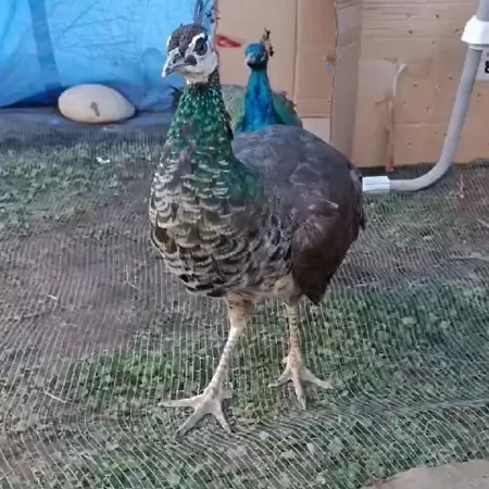 Casa Min Dom wakacyjny Lasieso