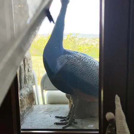 Casa Min 펜션 Lasieso