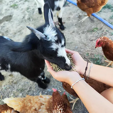 펜션 Casa Min Lasieso