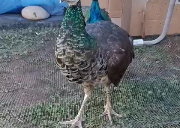 Casa Min Vakantiehuis Lasieso