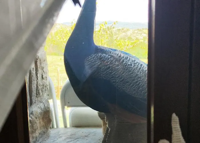 Casa Min Ferienhaus Lasieso