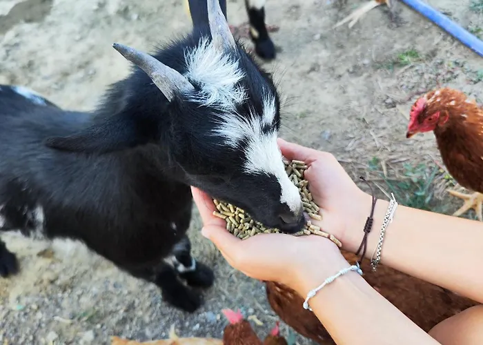 Ferienhaus Casa Min Lasieso
